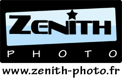 zenith+web